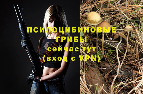 герыч Алексин
