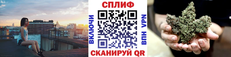 OMG как зайти  купить  сайты  Злынка  МАРИХУАНА конопля 